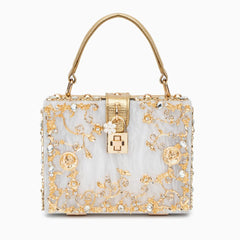 Vioraia Acrylic Box Handbag