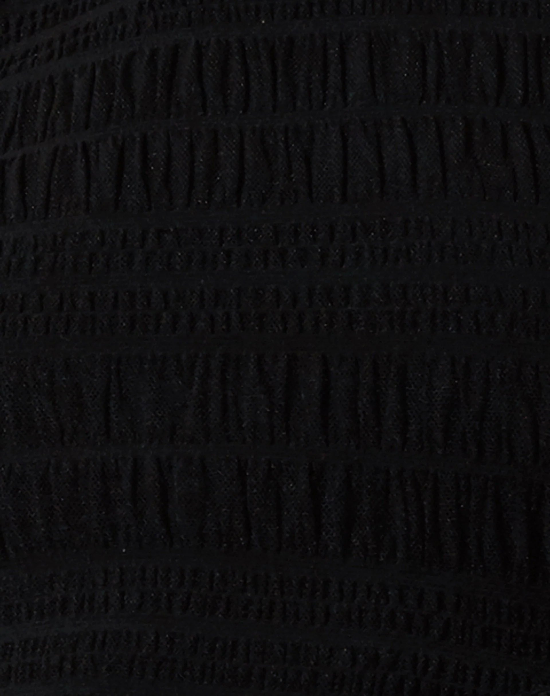Vadhu Mini Dress in Shirred Mesh Black