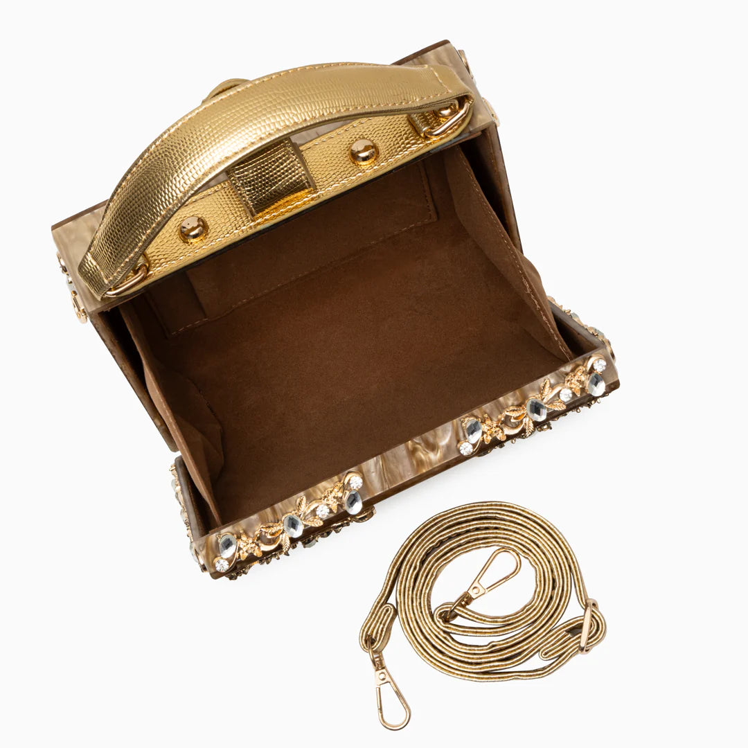 Vioraia (CS) Acrylic Box Handbag