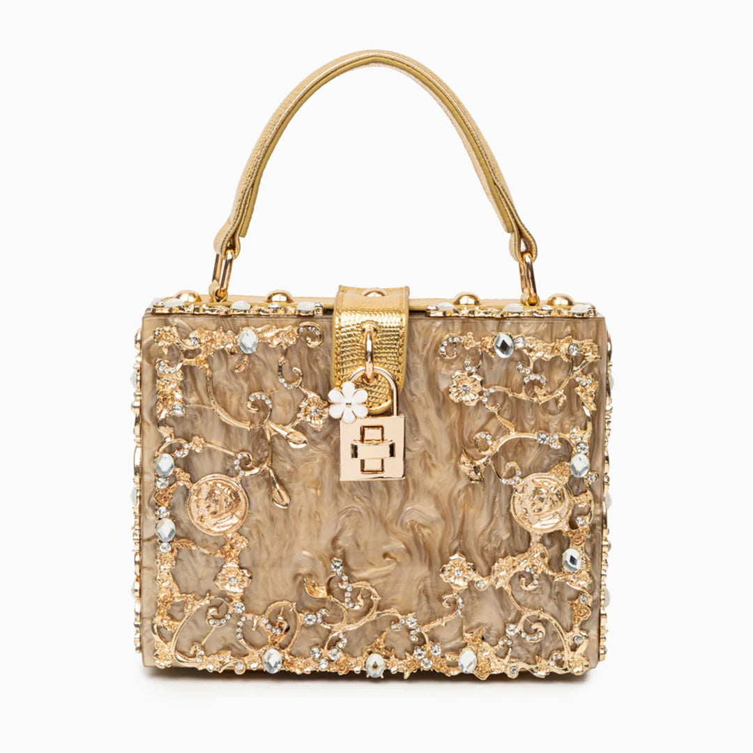 Vioraia (CS) Acrylic Box Handbag