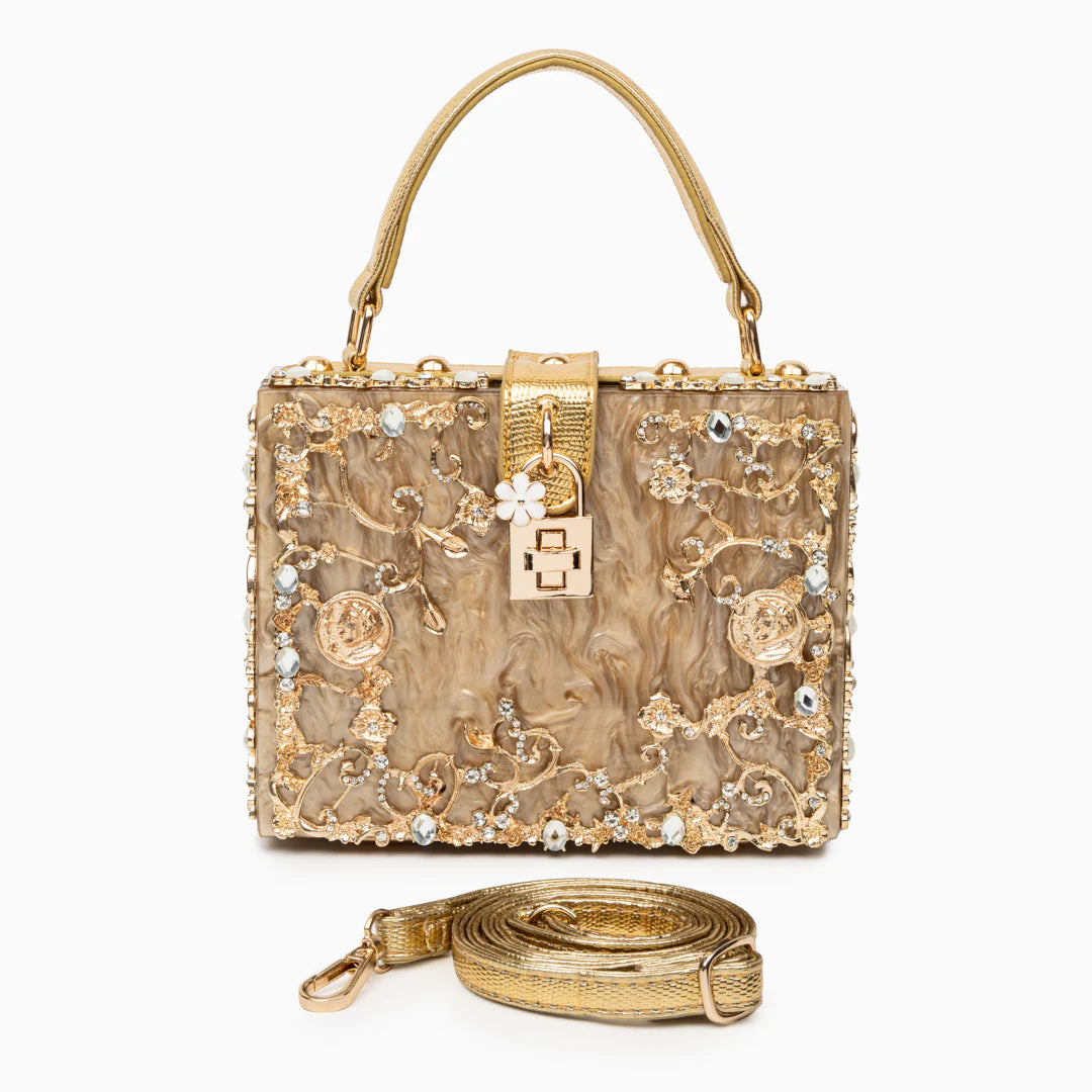 Vioraia (CS) Acrylic Box Handbag