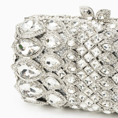 Vioraia (CS) Reina Rhinestones Crystals Clutch Bag - Silver